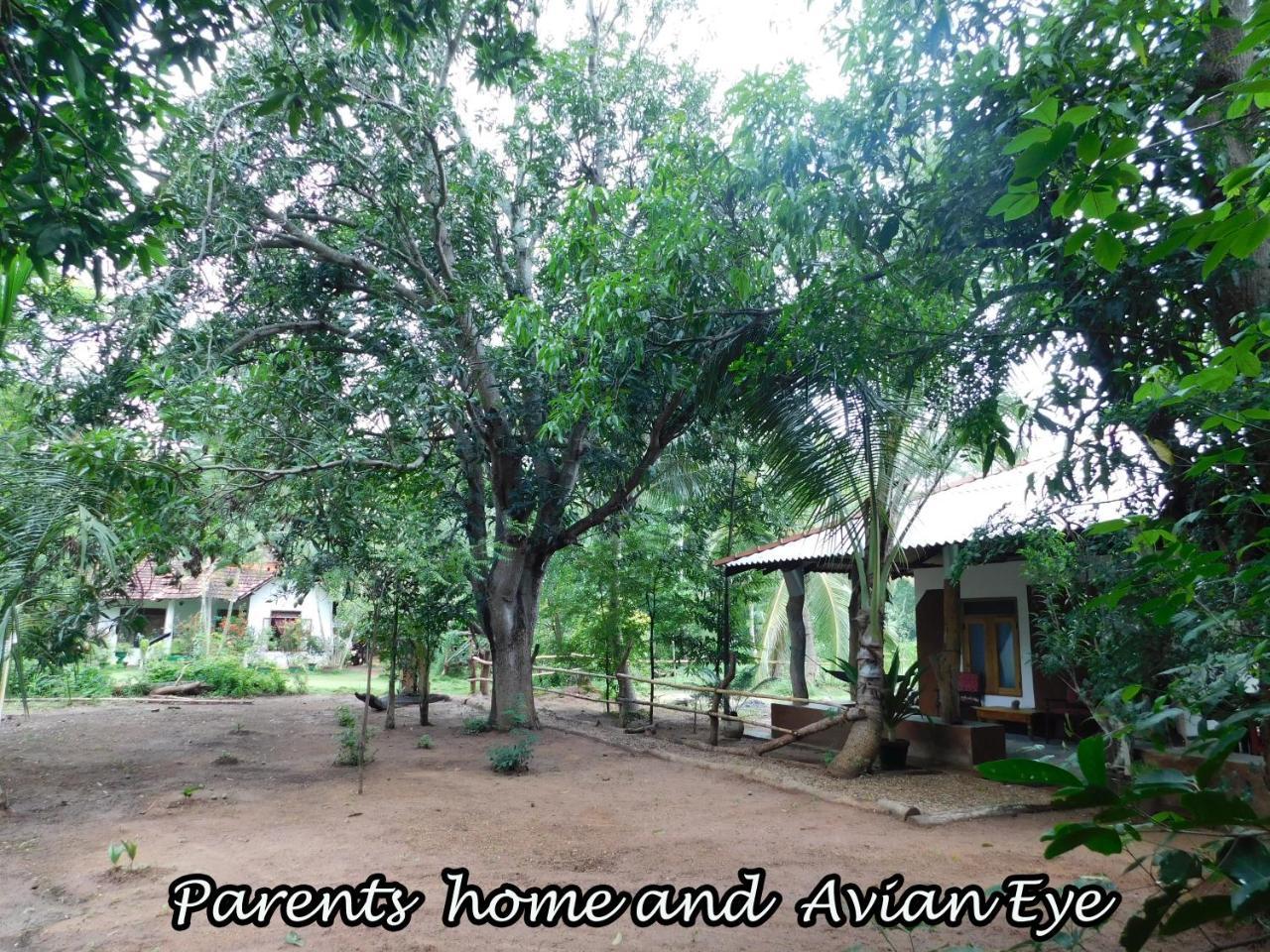 דירות Buttala Yala Avian Eye Safari מראה חיצוני תמונה