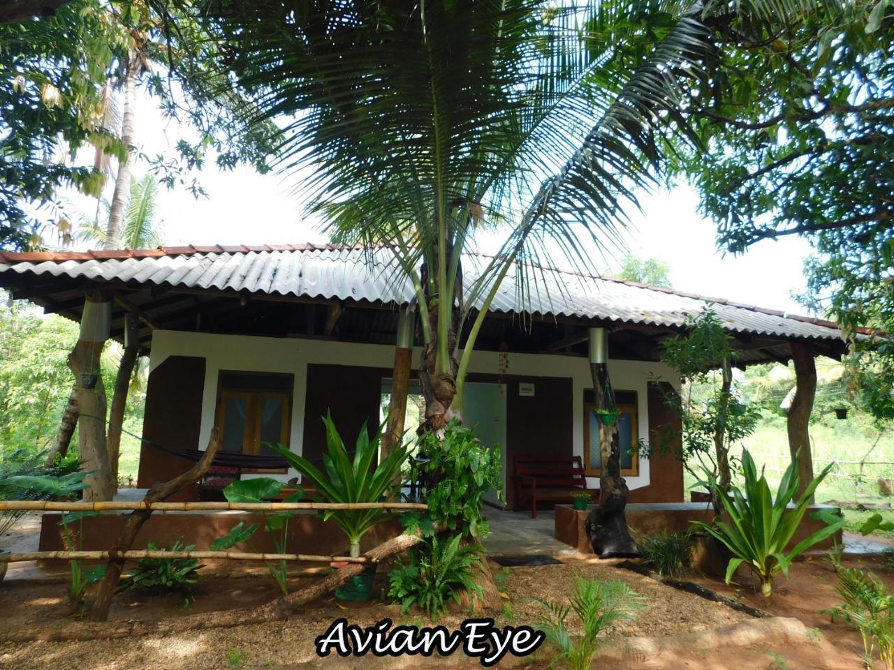 דירות Buttala Yala Avian Eye Safari מראה חיצוני תמונה
